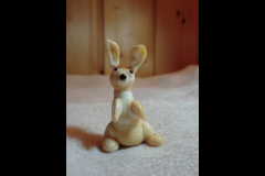 CIMG0096