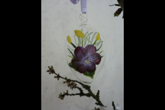 CIMG0348