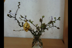 CIMG0349