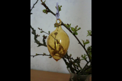 CIMG0350
