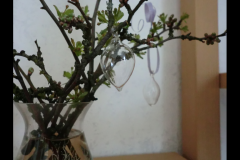 CIMG0352