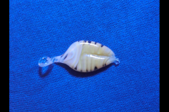 CIMG0137