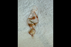 CIMG0596