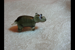 CIMG0107