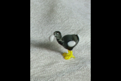 CIMG0592