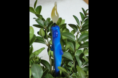 CIMG0533
