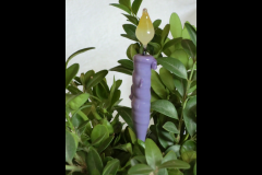 CIMG0563